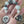 Arctic Fox / Dionyus Pocket Prayer Beads
