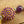Fox Vixen Pocket Meditation Beads