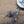 Arctic Fox Pocket Prayer Beads