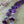 Echoes Of Morrigan Celtic Paidirean Sterling Rosary Necklace OOAK