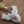Ancestor Stag Pocket Mala Prayer Beads