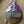 Moon Phase Moth Keychain Keyring, Bag Charm OOAK
